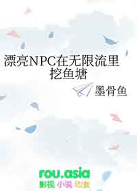 漂亮npc